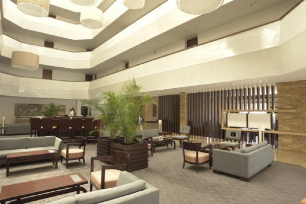 Lobby Fuente hotelcosmos100com 1